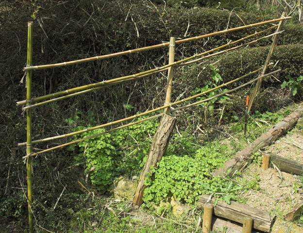 barriere bambou 1 Ici des piquets verticaux, enfoncé sur au moins 50 cm, avec un entrecroisement pour solidifier : les cannes de Provence qui surgiront derrière poussent fort, il...
