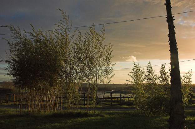 bambous nord Juste avant que le soleil ne se couche, l'orage arrive