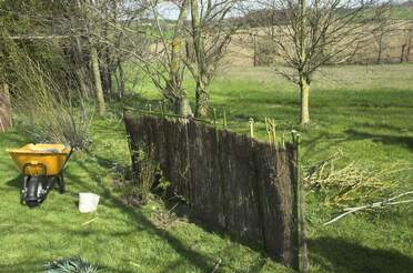 Barrières Afin de protéger les jeunes plantes du vent d'autan, ou afin de soutenir des plantes qui aimeraient bien s'avachir...