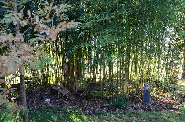 Bambous 2014 Dans les bambous du sud, un peu de tout : cimetière des bancs, sculptures, boules...