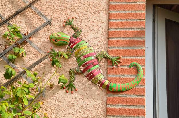 gecko 2026 08 Un cadeau de nos amis Michel et Francie, il y a 10 ans, Martine a décidé de lui donner un coup de neuf.