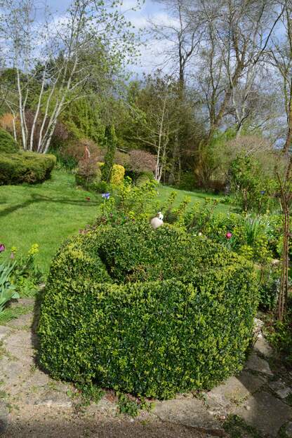 bol en buis 2026 Avec le sécheresse il s'est un peu déformé, alors je m'adapte
