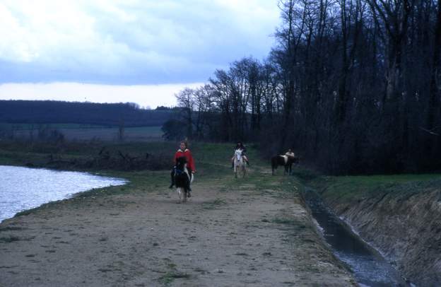 Nos trois poneys en 1996 Juana devant, puis Olympie et Polly derrière.