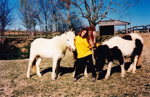 1998 04 trois poneys Polly le mâle (ou presque), Juana et Olympie.