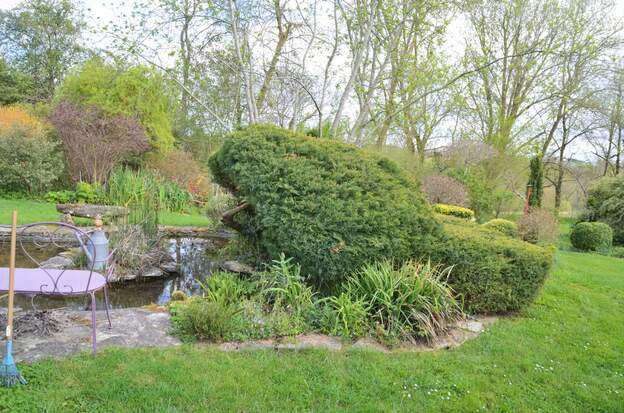 Juniperus chinensis 'Pfitzeriana Aurea' B 2026 Petit à petit il revient vers l'avant.