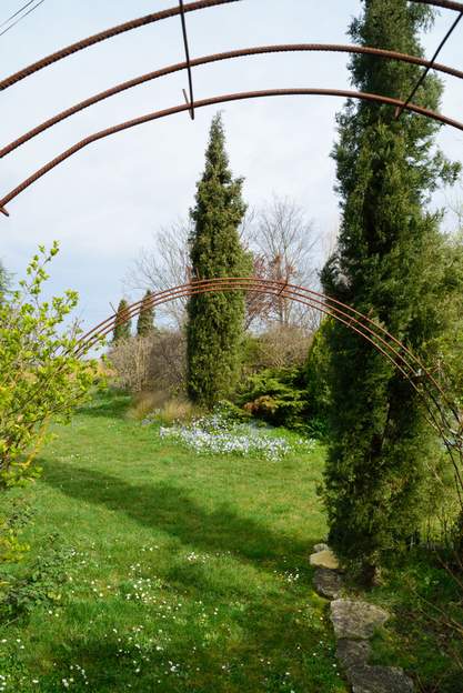 Cupressus 2020 03 Une bande le long de la plate-bande ouest et du massif du même nom.