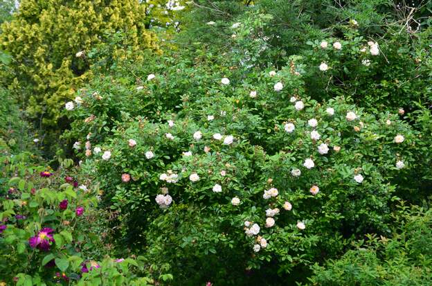 Ghislaine de Féligonde 2025