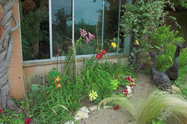 devant la serre 2010 de gauche à droite : Hot Wheel, un lys (Lilium 'Pink Perfection'), Spider Miracle en bas, Hunter's Torch et Burning Delight