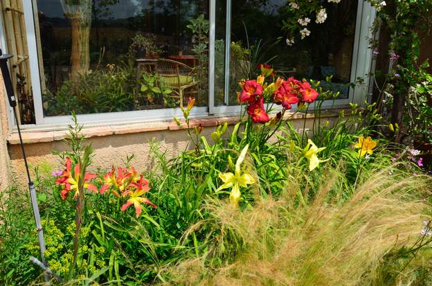 devant la serre 2013