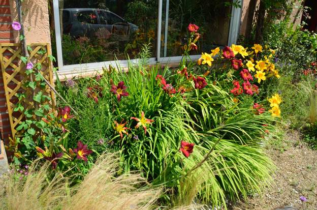 devant la serre 2016