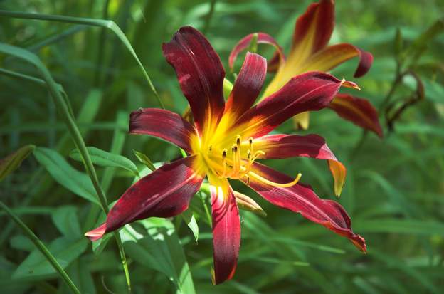 American Revolution 2