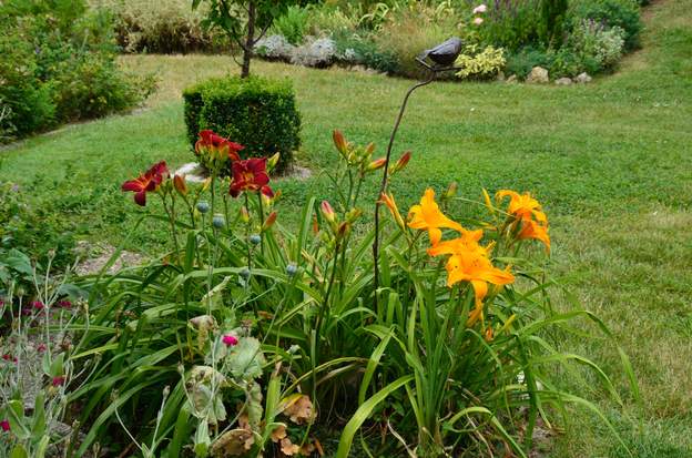 Cart Wheel et Hunter's Torch 2014