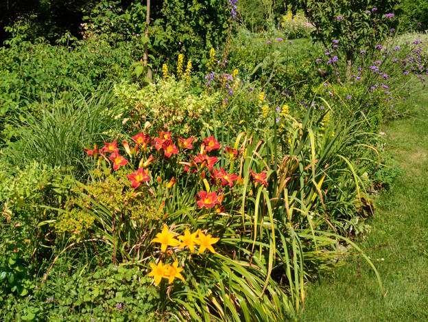 Cart Wheel et Hunter's Torch 2018