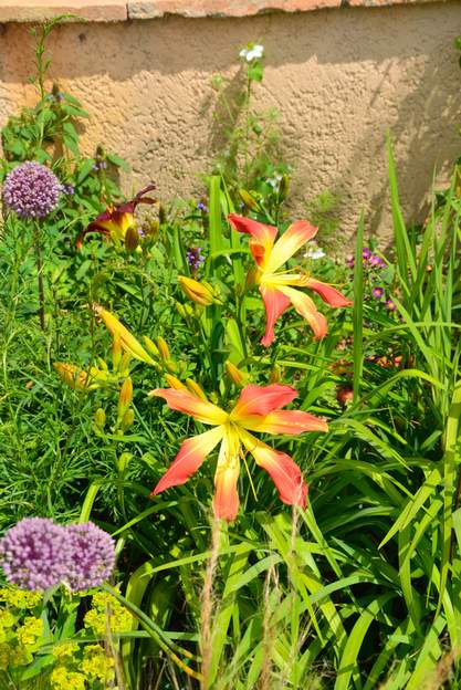 Hot Wheels 1 Juillet 2009