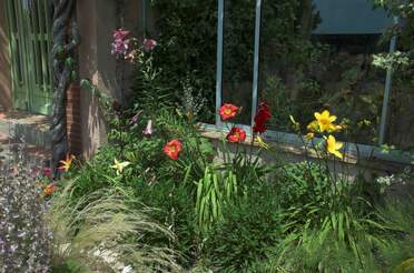 groupes Juin et juillet, les groupes d'hémérocalles sont bien agréables. Ils éclairent quand il fait gris, il rafraichissent...