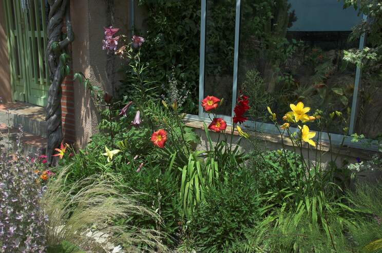 groupes Juin et juillet, les groupes d'hémérocalles sont bien agréables. Ils éclairent quand il fait gris, il rafraichissent...