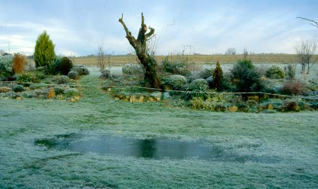 1994 03 Dans la pelouse au nord, une flaque d'eau parce qu'il a beaucoup plu et que le sol refuse. Elle est toute gelée. On n'a pas revu une telle flaque depuis !
