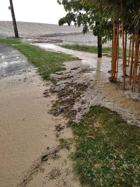 2024 05 Un gros orage, une demi heure de grêle, le champs du voisin débarque dans le jardin comme il y a déjà deux ans.