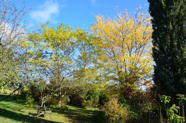 automne Les couleurs de l'automne.