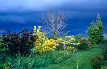 Avant ou après les orages. Effets de contrastes des ciels bleus et sombre et des feuillage qui n'en deviennent que plus brillants, surtout si le...