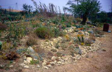 Sécheresse La sécheresse en Lauragais est terrible parfois ; Un été sans eau, ça fait très mal au jardin. Pendant les 15/20...