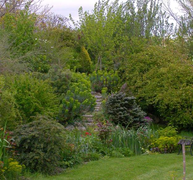Escalier un escalier dans une (ex)rocaille : ça donne automatiquement une structure au jardin. Une invitation à l'errance.