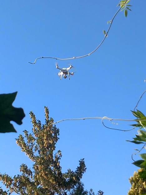 drone ET dans le jardin photographié rapidement par Martine.