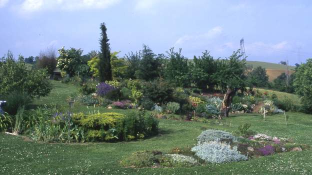 1996 09 La structure du jardin au début est surtout marquée, pour la partie est, par le grand saule au pied du barrage, par le cyprès ( Cupressus sempervirens ), le...