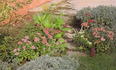 Mur est C'est un mur aveugle exposé au vent d'autan. A notre arrivée, il y avait une porcherie que nous avons abattue. La...