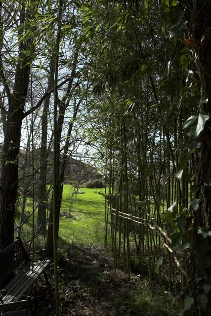 2010 03 Voilà ce chemin, qui permet de traverser le bois de bambous