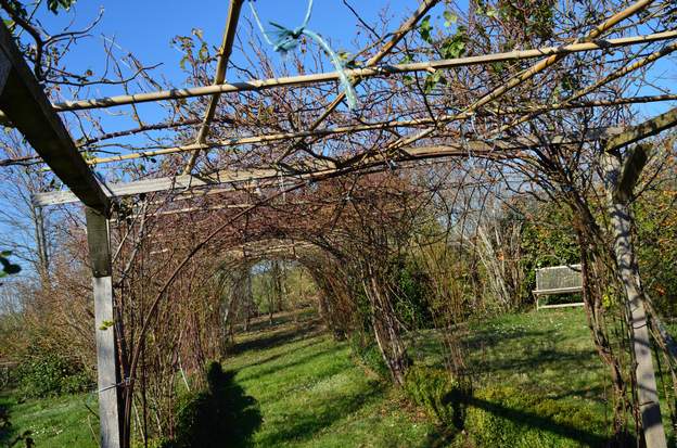 2013 02 20 2011 et 2012 ont été particulièrement secs (vers 550 mm) et voilà que d'un coup il se met à pleuvoir, 150 mm en janvier/février. Le contraste est trop brutal,...