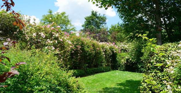 2014 05 Martine a eu l'idée de faire des tressages latéraux pour créer un mur de fleur, superbe !
