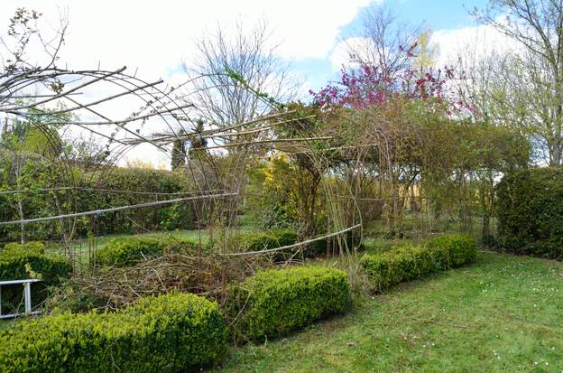 2018 03 Beaucoup trop de branches mortes en dessous, alors avec Martine et Sören on enlève les 2/3. La partie de droite de la photo est plus protégée du vent, et donc...