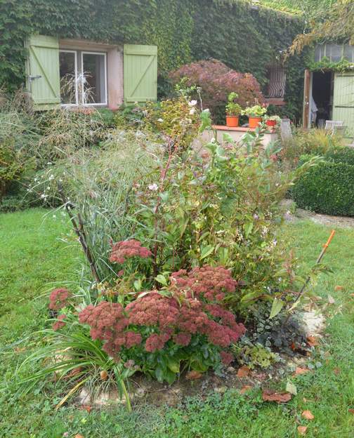 2014 09 Quelle vitesse de pousse cette année, de l'eau printanière, pas trop de chaleur, alors hop là !