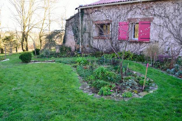 2020 01 Le massif s'en va vers l'est, prolongation finale (?) avec un buis déplacé de la terrasse nord.