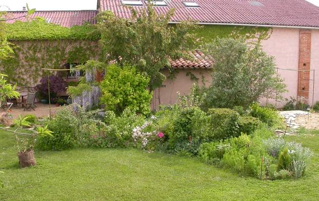 2006 04 4 Martine a planté un Prunus padus 'Colorata' sur le devant. Ses fleurs tirant sur le rose devraient aller bien avec celle du 'Shubert' du bassin (qui sont...