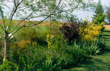 Au nord est la plate bande romantique Voici donc la troisième et dernière partie de l'ensemble nord-est. C'est la Plate-bande romantique , avec des couleurs...