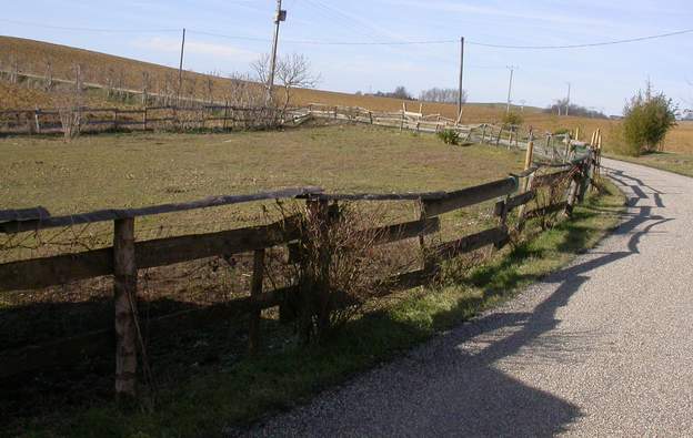 2006 02 Pendant le premier quart de siècle du jardin, cette partie droite de l'entrée est restée telle quelle, occupée d'abord par les trois poneys, mais notre cheptel...