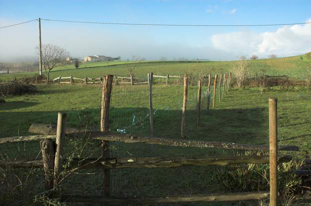 2009 12 1 Une nouvelle barrière réduit le terrain attribué à la jument. Cette barrière a été plantée par Sören et moi. Du coup on l'a nommée 