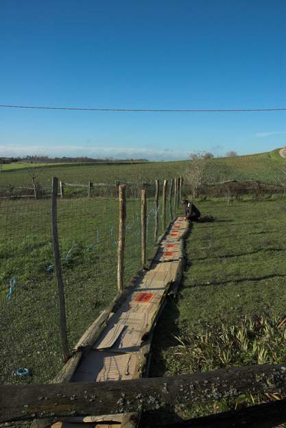 2010 01 1 Plantation de la 
