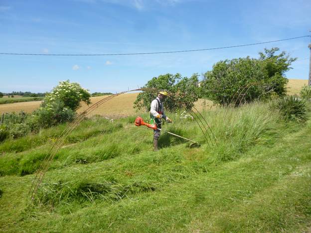 2014 05 19 On a ajouté trois fers pour y mettre des rosiers grimpants afin de longer le chemin d'entrée.