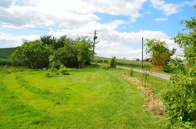 2015 05a Martine a planté deux érables du même âge, en l'honneur des jumeaux.