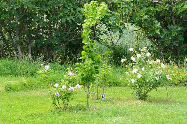 2015 05b Le massif de Cléa.
