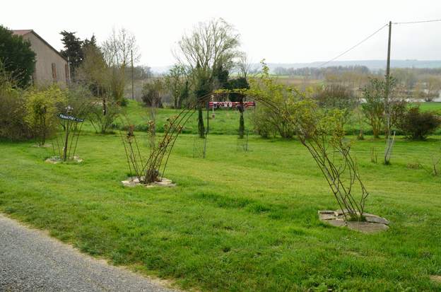 2021 03 Martine a cherché un bon moment comment habiller le pied des fers à béton, qu'il faut nettoyer à la main puisque la tondeuse ne passe pas, bien évidemment....