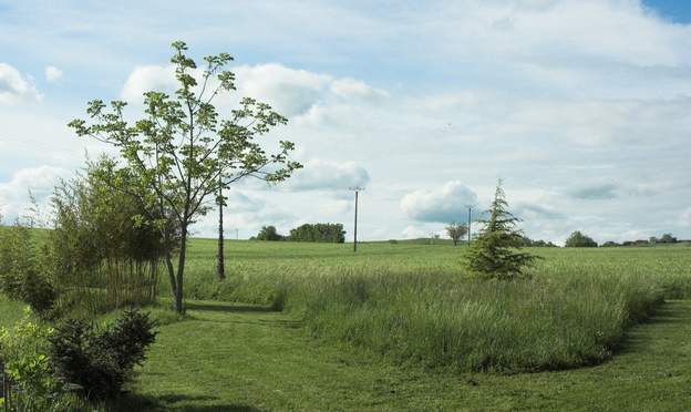 2007 04 Martine laisse souvent l'herbe pousser dans cette zone, afin de faire comme une prarie. Du coup on perd les deux pins parasols qui sont cachés par l'herbe !